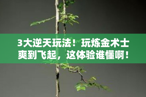 3大逆天玩法!玩炼金术士爽到飞起,这体验谁懂啊! 3大逆天玩法!玩炼金术士爽到飞起,这体验谁懂啊!