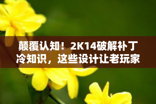 颠覆认知!2K14破解补丁冷知识,这些设计让老玩家目瞪口呆 颠覆认知!2K14破解补丁冷知识,这些设计让老玩家目瞪口呆