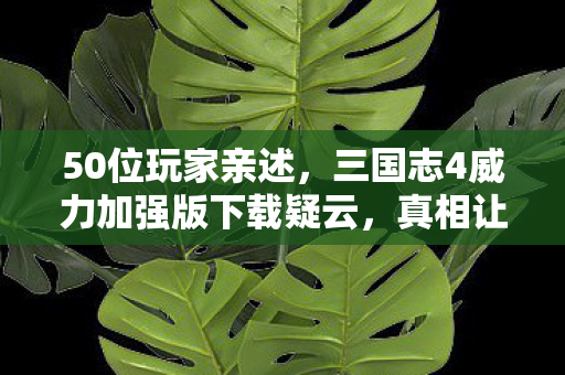 50位玩家亲述，三国志4威力加强版下载疑云，真相让人绷不住！