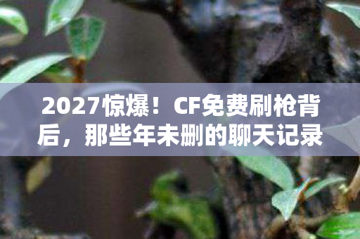 2027惊爆!CF免费刷枪背后,那些年未删的聊天记录鼻子一酸 2027惊爆!CF免费刷枪背后,那些年未删的聊天记录鼻子一酸