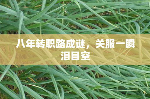 八年转职路成谜，关服一瞬泪目空