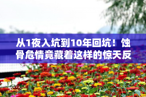 从1夜入坑到10年回坑!蚀骨危情竟藏着这样的惊天反转? 从1夜入坑到10年回坑!蚀骨危情竟藏着这样的惊天反转?