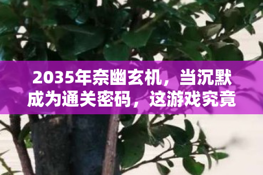 2035年奈幽玄机,当沉默成为通关密码,这游戏究竟给了我什么? 2035年奈幽玄机,当沉默成为通关密码,这游戏究竟给了我什么?