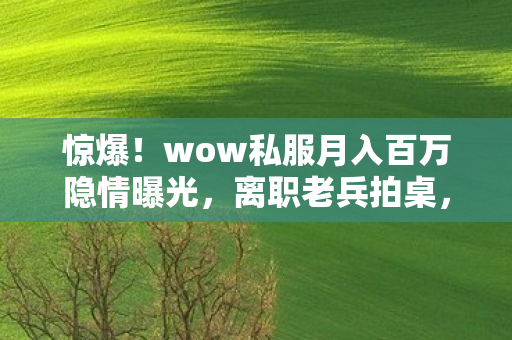 惊爆!wow私服月入百万隐情曝光,离职老兵拍桌,这方案早该枪毙! 惊爆!wow私服月入百万隐情曝光,离职老兵拍桌,这方案早该枪毙!