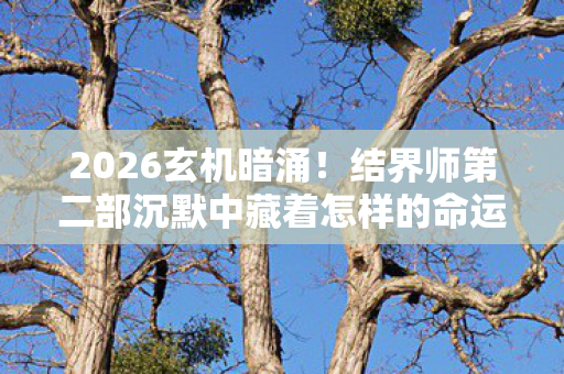 2026玄机暗涌!结界师第二部沉默中藏着怎样的命运抉择? 2026玄机暗涌!结界师第二部沉默中藏着怎样的命运抉择?