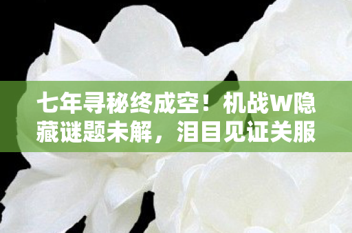 七年寻秘终成空！机战W隐藏谜题未解，泪目见证关服时刻