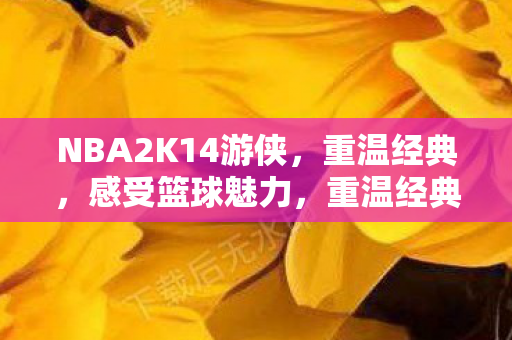 NBA2K14游侠，重温经典，感受篮球魅力，重温经典！NBA2K14游侠再现篮球魅力
