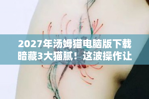 2027年汤姆猫电脑版下载暗藏3大猫腻！这波操作让人直呼上头又下头