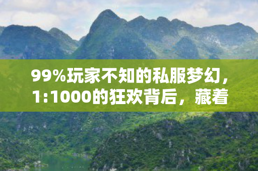 99%玩家不知的私服梦幻，1:1000的狂欢背后，藏着多少深夜的泪？