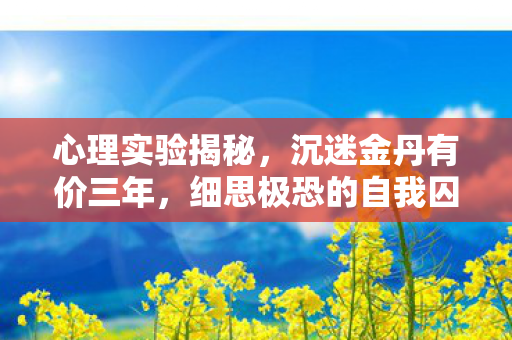 心理实验揭秘,沉迷金丹有价三年,细思极恐的自我囚禁 心理实验揭秘,沉迷金丹有价三年,细思极恐的自我囚禁