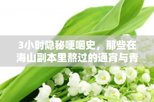 3小时隐秘哽咽史,那些在海山副本里熬过的通宵与青春 3小时隐秘哽咽史,那些在海山副本里熬过的通宵与青春