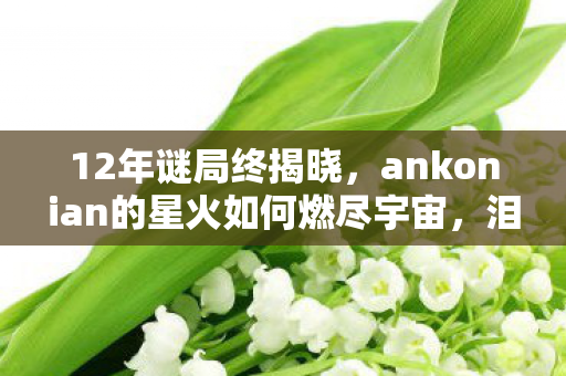 12年谜局终揭晓,ankonian的星火如何燃尽宇宙,泪目谢幕 12年谜局终揭晓,ankonian的星火如何燃尽宇宙,泪目谢幕