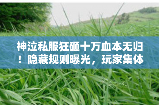 神泣私服狂砸十万血本无归!隐藏规则曝光,玩家集体吓一跳! 神泣私服狂砸十万血本无归!隐藏规则曝光,玩家集体吓一跳!