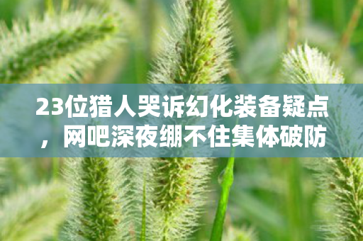 23位猎人哭诉幻化装备疑点，网吧深夜绷不住集体破防
