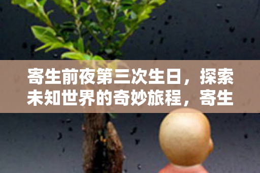 寄生前夜第三次生日，探索未知世界的奇妙旅程，寄生前夜第三次生日，探索未知世界的奇妙冒险之旅