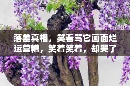 落差真相，笑着骂它画面烂运营糟，笑着笑着，却哭了自己还在玩