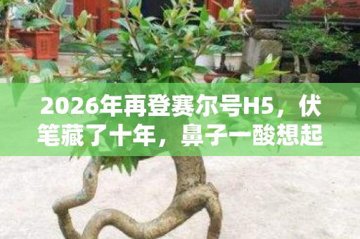 2026年再登赛尔号H5，伏笔藏了十年，鼻子一酸想起你