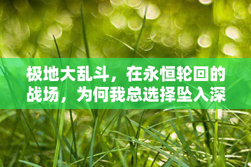 极地大乱斗，在永恒轮回的战场，为何我总选择坠入深渊？