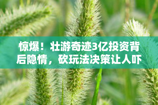 惊爆！壮游奇迹3亿投资背后隐情，砍玩法决策让人吓一跳！