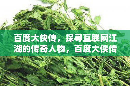 百度大侠传,探寻互联网江湖的传奇人物,百度大侠传,探寻互联网江湖的传奇人物 百度大侠传,探寻互联网江湖的传奇人物,百度大侠传,探寻互联网江湖的传奇人物