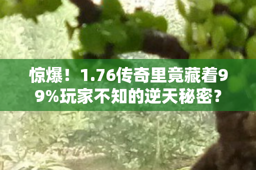 惊爆!1.76传奇里竟藏着99%玩家不知的逆天秘密? 惊爆!1.76传奇里竟藏着99%玩家不知的逆天秘密?