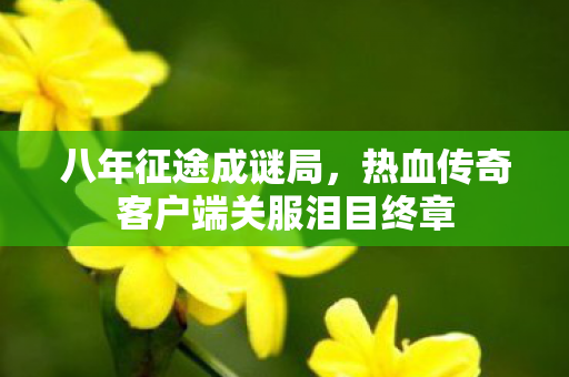 八年征途成谜局,热血传奇客户端关服泪目终章 八年征途成谜局,热血传奇客户端关服泪目终章