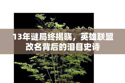 13年谜局终揭晓,英雄联盟改名背后的泪目史诗 13年谜局终揭晓,英雄联盟改名背后的泪目史诗
