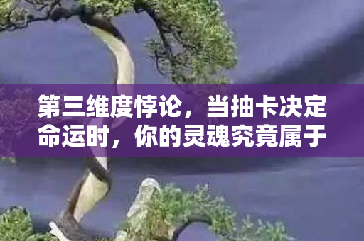 第三维度悖论,当抽卡决定命运时,你的灵魂究竟属于谁? 第三维度悖论,当抽卡决定命运时,你的灵魂究竟属于谁?