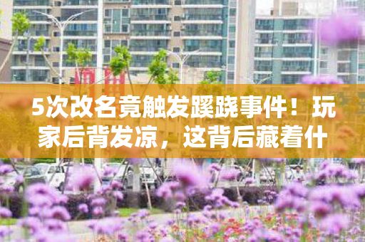 5次改名竟触发蹊跷事件!玩家后背发凉,这背后藏着什么秘密? 5次改名竟触发蹊跷事件!玩家后背发凉,这背后藏着什么秘密?