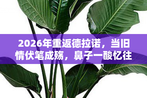 2026年重返德拉诺,当旧情伏笔成殇,鼻子一酸忆往昔 2026年重返德拉诺,当旧情伏笔成殇,鼻子一酸忆往昔