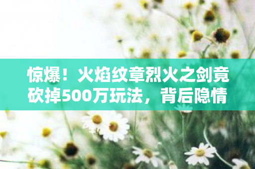 惊爆!火焰纹章烈火之剑竟砍掉500万玩法,背后隐情让人吓一跳! 惊爆!火焰纹章烈火之剑竟砍掉500万玩法,背后隐情让人吓一跳!