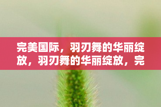 完美国际,羽刃舞的华丽绽放,羽刃舞的华丽绽放,完美国际 完美国际,羽刃舞的华丽绽放,羽刃舞的华丽绽放,完美国际