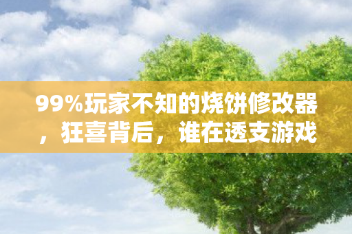 99%玩家不知的烧饼修改器,狂喜背后,谁在透支游戏的灵魂? 99%玩家不知的烧饼修改器,狂喜背后,谁在透支游戏的灵魂?