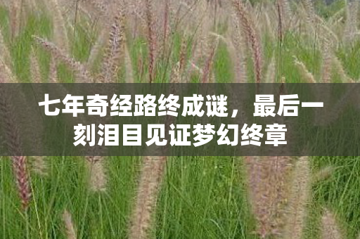 七年奇经路终成谜,最后一刻泪目见证梦幻终章 七年奇经路终成谜,最后一刻泪目见证梦幻终章
