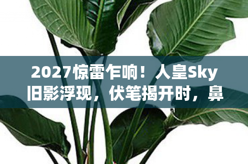 2027惊雷乍响!人皇Sky旧影浮现,伏笔揭开时,鼻子一酸泪满襟 2027惊雷乍响!人皇Sky旧影浮现,伏笔揭开时,鼻子一酸泪满襟