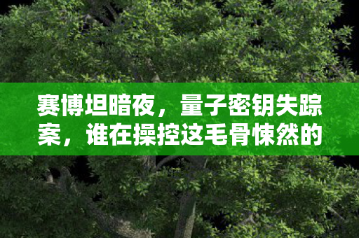 赛博坦暗夜,量子密钥失踪案,谁在操控这毛骨悚然的机械轮回? 赛博坦暗夜,量子密钥失踪案,谁在操控这毛骨悚然的机械轮回?
