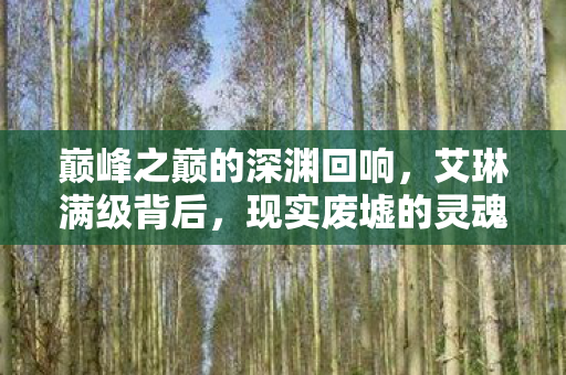 巅峰之巅的深渊回响，艾琳满级背后，现实废墟的灵魂震颤