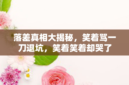 落差真相大揭秘,笑着骂一刀退坑,笑着笑着却哭了 落差真相大揭秘,笑着骂一刀退坑,笑着笑着却哭了