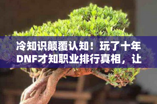冷知识颠覆认知!玩了十年DNF才知职业排行真相,让人目瞪口呆! 冷知识颠覆认知!玩了十年DNF才知职业排行真相,让人目瞪口呆!