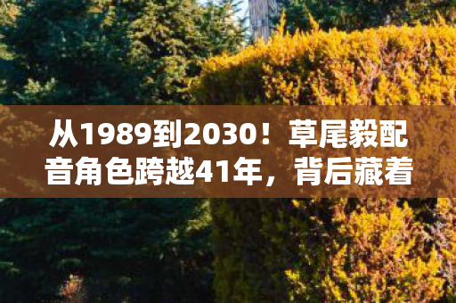 从1989到2030!草尾毅配音角色跨越41年,背后藏着何等震撼秘密? 从1989到2030!草尾毅配音角色跨越41年,背后藏着何等震撼秘密?