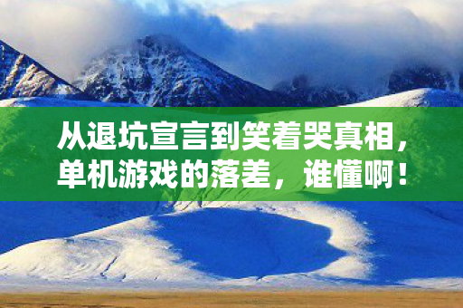 从退坑宣言到笑着哭真相,单机游戏的落差,谁懂啊! 从退坑宣言到笑着哭真相,单机游戏的落差,谁懂啊!