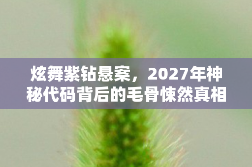 炫舞紫钻悬案,2027年神秘代码背后的毛骨悚然真相 炫舞紫钻悬案,2027年神秘代码背后的毛骨悚然真相