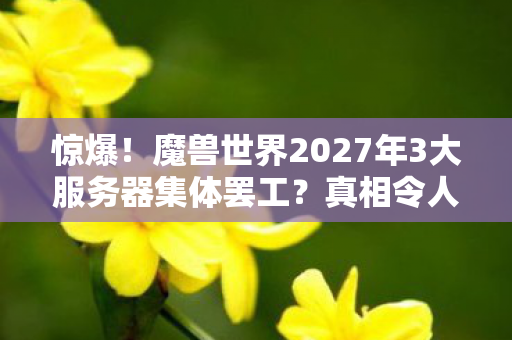 惊爆!魔兽世界2027年3大服务器集体罢工?真相令人窒息! 惊爆!魔兽世界2027年3大服务器集体罢工?真相令人窒息!