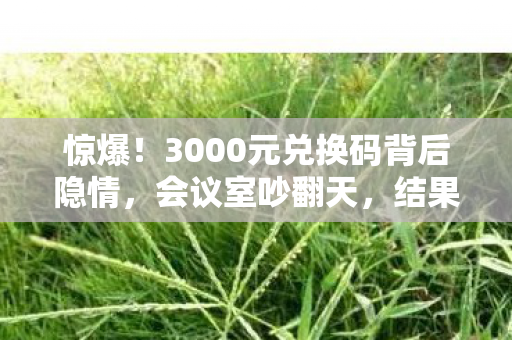 惊爆!3000元兑换码背后隐情,会议室吵翻天,结果让人吓一跳! 惊爆!3000元兑换码背后隐情,会议室吵翻天,结果让人吓一跳!