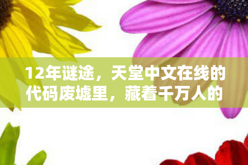 12年谜途,天堂中文在线的代码废墟里,藏着千万人的泪目青春 12年谜途,天堂中文在线的代码废墟里,藏着千万人的泪目青春