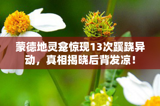 蒙德地灵龛惊现13次蹊跷异动,真相揭晓后背发凉! 蒙德地灵龛惊现13次蹊跷异动,真相揭晓后背发凉!