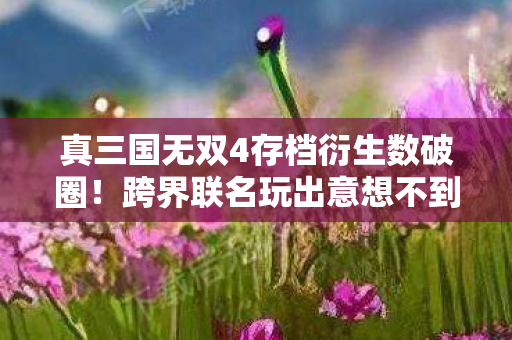 真三国无双4存档衍生数破圈！跨界联名玩出意想不到新花样