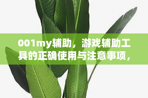 游戏辅助工具的正确使用指南与注意事项图片