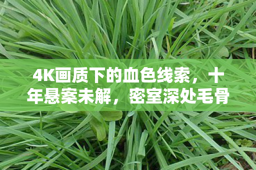 4K画质下的血色线索，十年悬案未解，密室深处毛骨悚然的真相