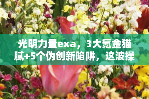 光明力量exa,3大氪金猫腻+5个伪创新陷阱,这波操作让我头都上头了! 光明力量exa,3大氪金猫腻+5个伪创新陷阱,这波操作让我头都上头了!